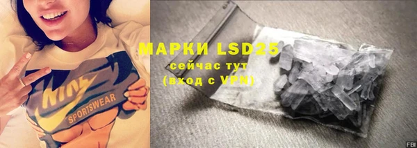 индика Киреевск