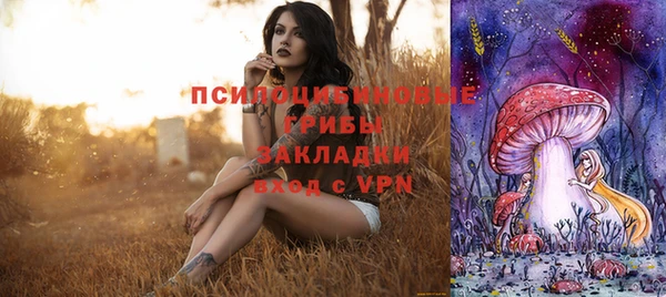 спайс Карпинск