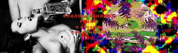 шишки Карталы