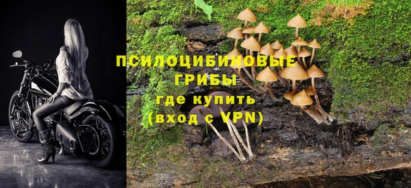 спайс Карпинск