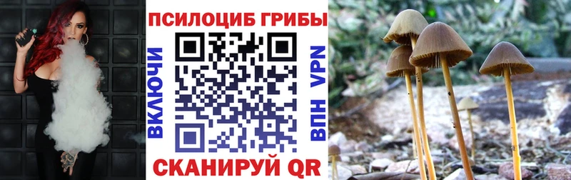 Псилоцибиновые грибы Psilocybine cubensis  Купить где  Мурманск 